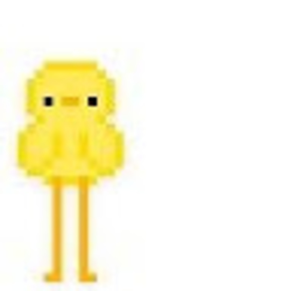 Meet your Posher, Phoebe